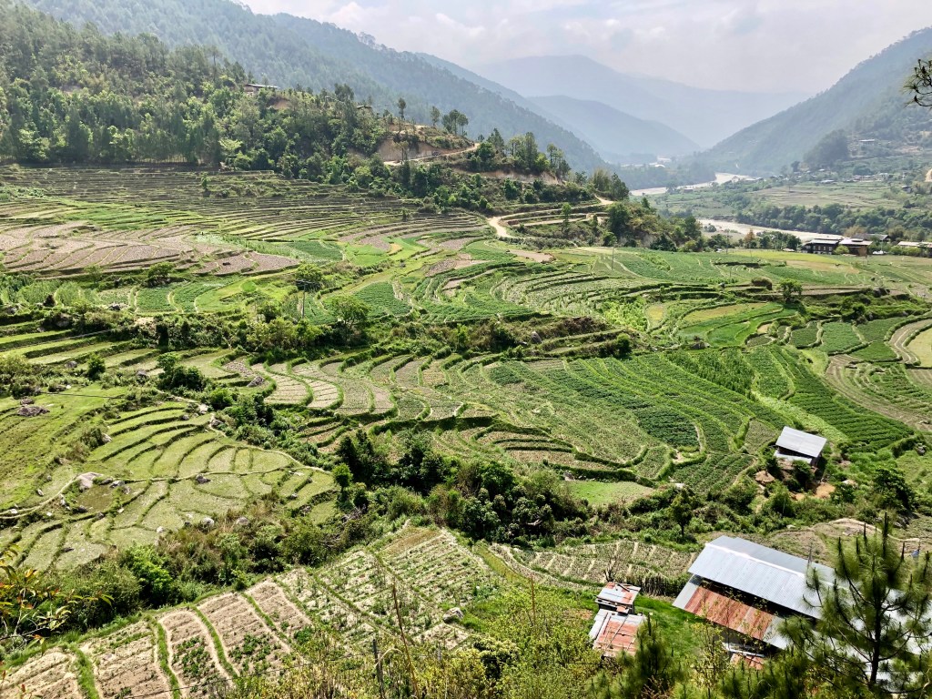 Thimphu